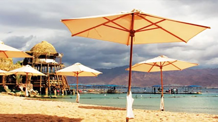 ריף הדולפינים, סוג כרטיס כניסה מבוגר